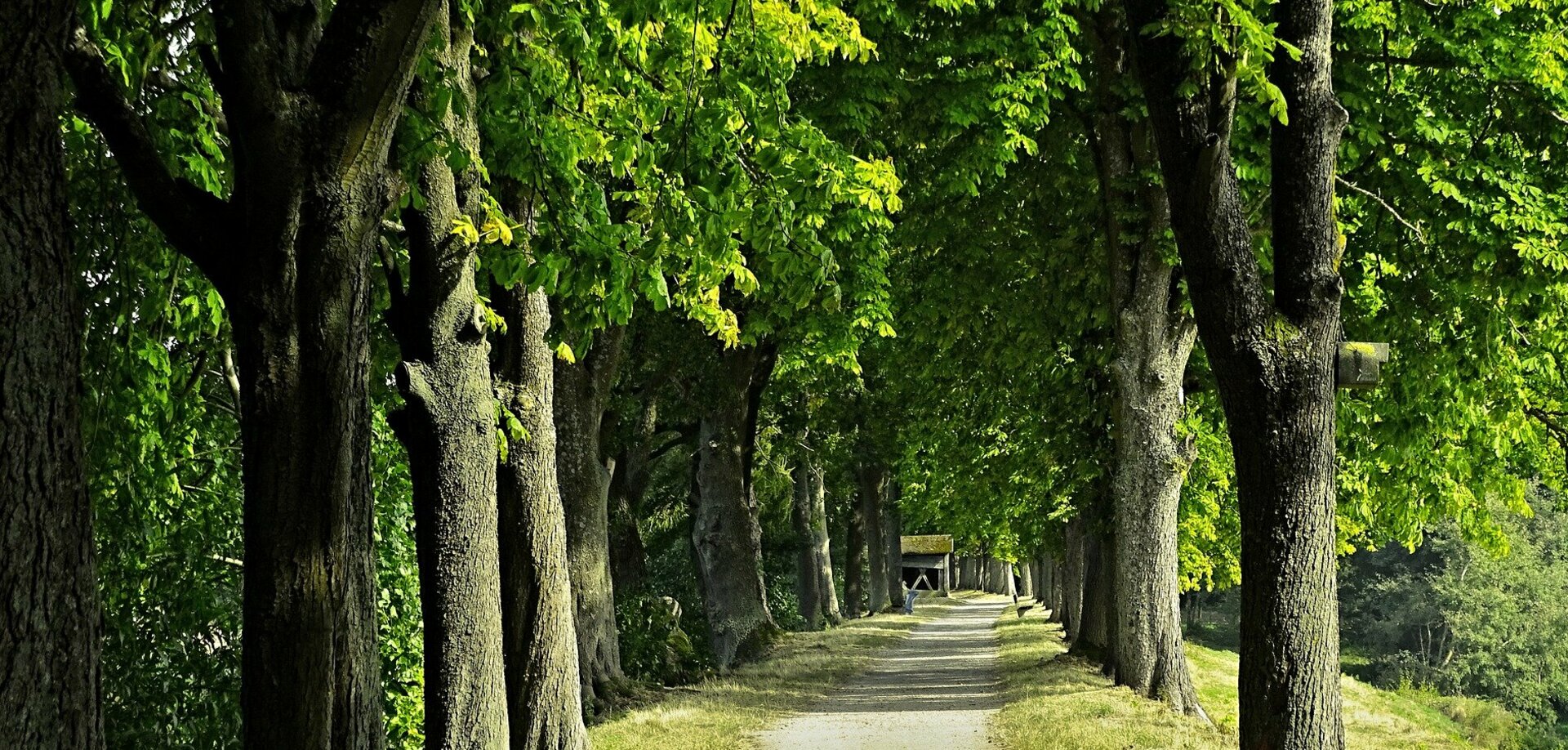 Situé au sud-ouest de Limoges, l'Ouest Limousin est au coeur du Parc Naturel Régional Périgord-Limousin et vous accueille à Oradour sur Vayres.